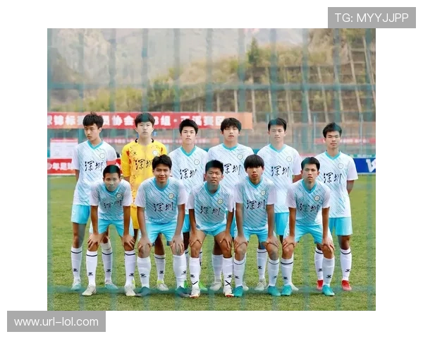 中国球迷热爱足球明星的背后：谁是他们心中的偶像与支持者