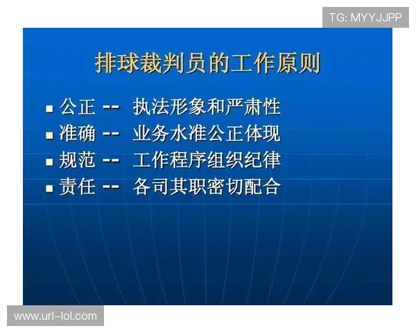 排球与足球各自球星数量盘点与比较分析